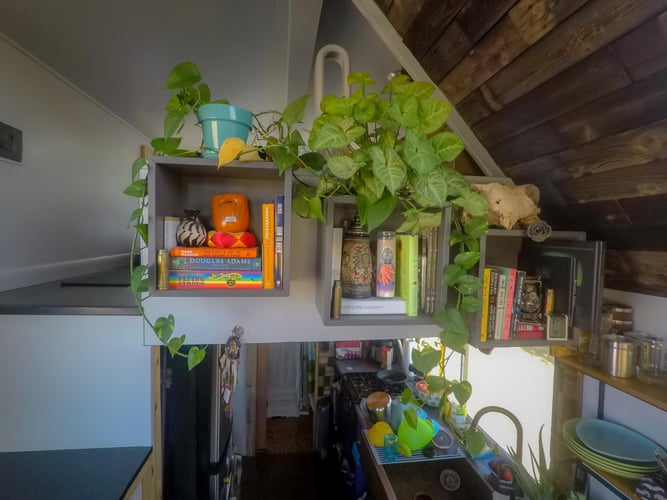 Close-up of the storage provided at the top of the stairs, including a plant.