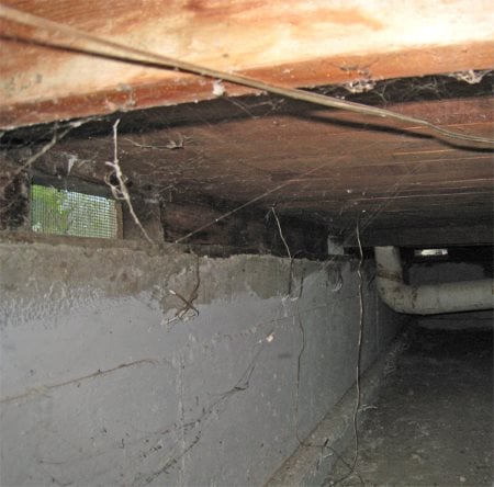 A dingy crawl space with lots of cob webs, concrete for rodent control/prevention and some utility runs, from Wikipedia.